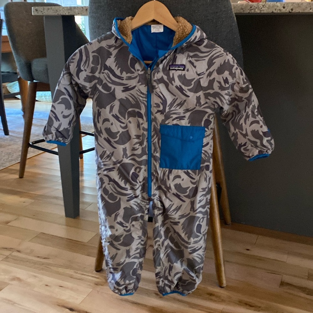 Patagonia bunting